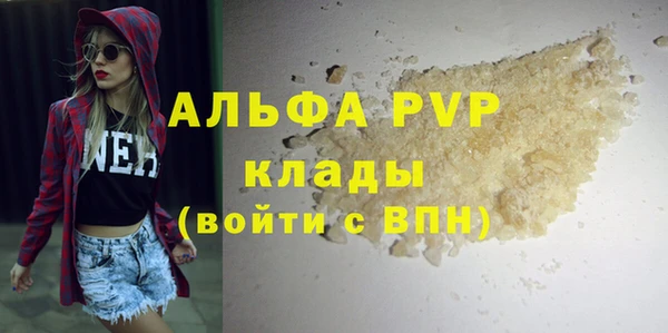 шишки Горно-Алтайск