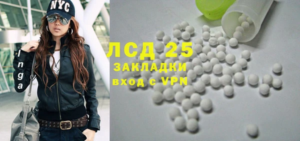 индика Горняк