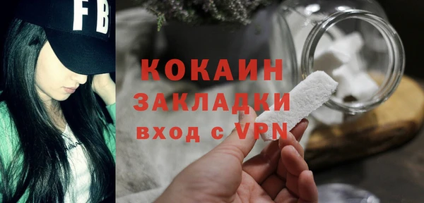 шишки Горно-Алтайск