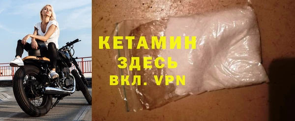 индика Горняк