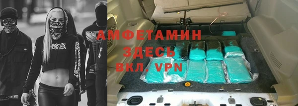 индика Горняк