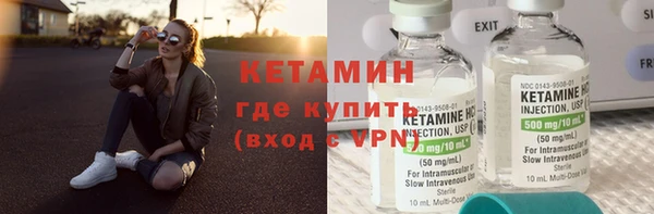 шишки Горно-Алтайск