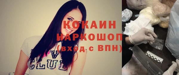 шишки Горно-Алтайск