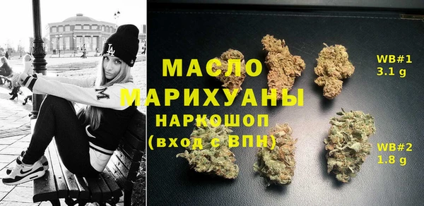 индика Горняк