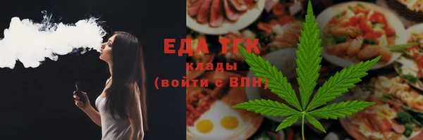 индика Горняк