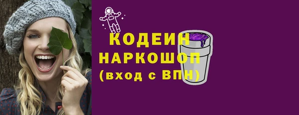 шишки Горно-Алтайск