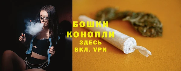 индика Горняк