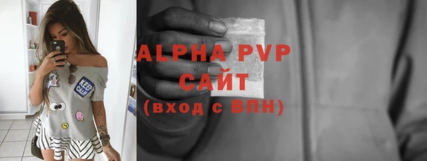шишки Горно-Алтайск
