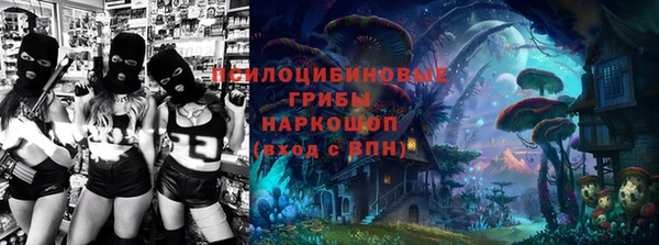 шишки Горно-Алтайск