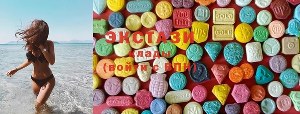 гидра Горнозаводск