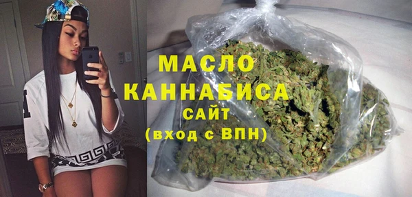 индика Горняк