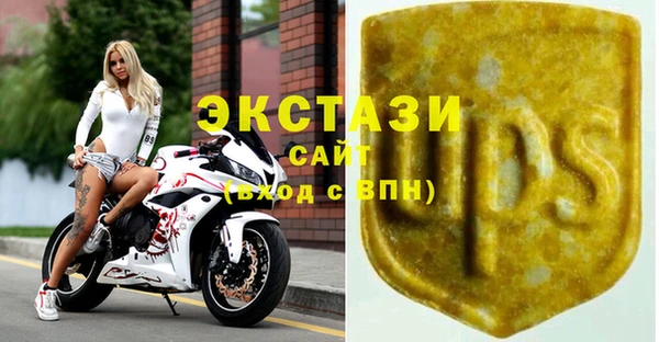 индика Горняк