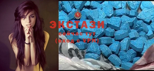 гидра Горнозаводск