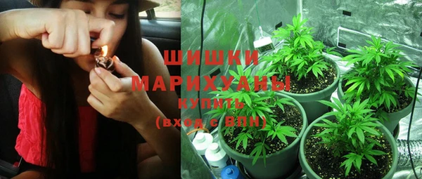 индика Горняк