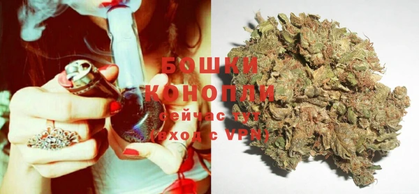 шишки Горно-Алтайск