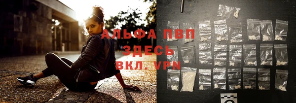 индика Горняк