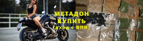 шишки Горно-Алтайск