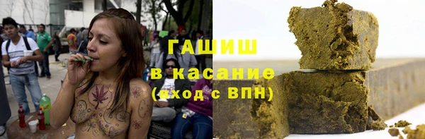 индика Горняк