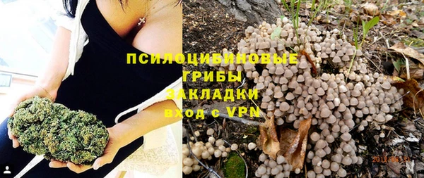 шишки Горно-Алтайск